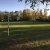 Bild 7 von 11