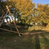 Bild 9 von 11