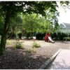Bild 1 von 6