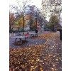 Bild 17 von 18