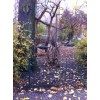 Bild 18 von 18