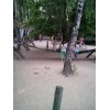 Bild 6 von 9