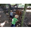 Bild 4 von 7