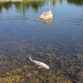 Bild vom Spielplatz anzeigen.