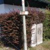 Bild 12 von 21