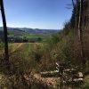 Bild 10 von 24