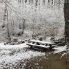 Bild 11 von 24