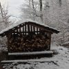 Bild 12 von 24
