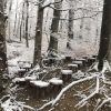 Bild 13 von 24