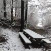 Bild 15 von 24