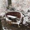 Bild 16 von 24