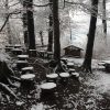 Bild 17 von 24
