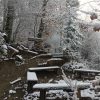Bild 20 von 24