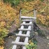 Bild 4 von 24