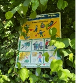 Bild vom Spielplatz anzeigen.