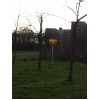 Bild 7 von 7