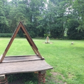 Bild 8 von 9