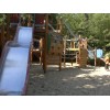 Bild 8 von 10