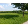 Bild 4 von 5