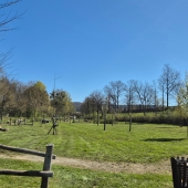 Bild vom Spielplatz anzeigen.