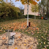 Bild vom Spielplatz anzeigen.
