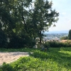 Bild 8 von 9