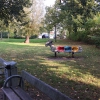 Bild 3 von 12
