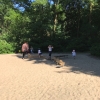 Bild 7 von 9