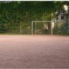 Bild 1 von 5