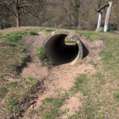 Bild vom Spielplatz anzeigen.