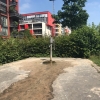 Bild 10 von 16