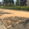Bild 14 von 16