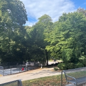 Bild vom Spielplatz anzeigen.