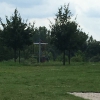 Bild 2 von 3