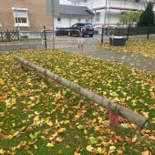 Bild vom Spielplatz anzeigen.