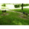Bild 8 von 8
