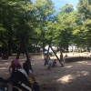 Bild 3 von 3