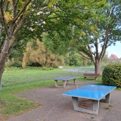 Bild vom Spielplatz anzeigen.