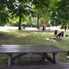 Bild 11 von 15