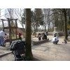 Bild 6 von 8