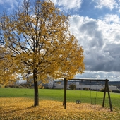 Bild vom Spielplatz anzeigen.