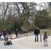 Bild 5 von 6