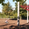Bild 11 von 12