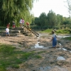 Bild 1 von 12