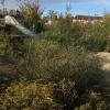 Bild 6 von 13