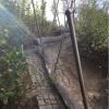 Bild 10 von 13