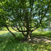 Bild vom Spielplatz anzeigen.