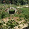 Bild 9 von 14