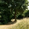 Bild 9 von 10