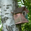 Bild 5 von 8